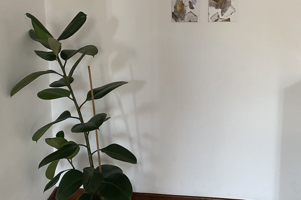 Photo of Others in Lissone