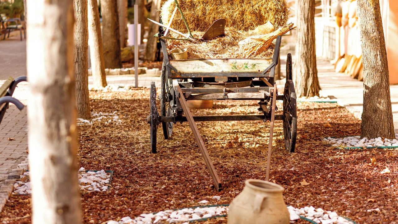 Photo of Outdoor in Guzelyurt