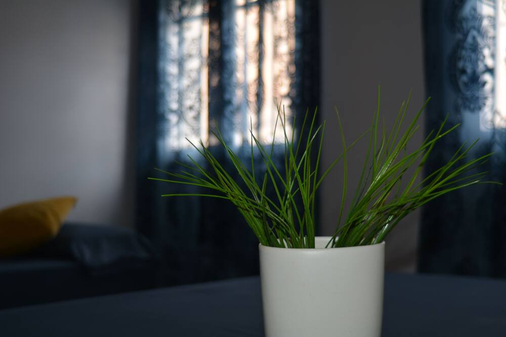 Photo of Bedroom in Tortosa