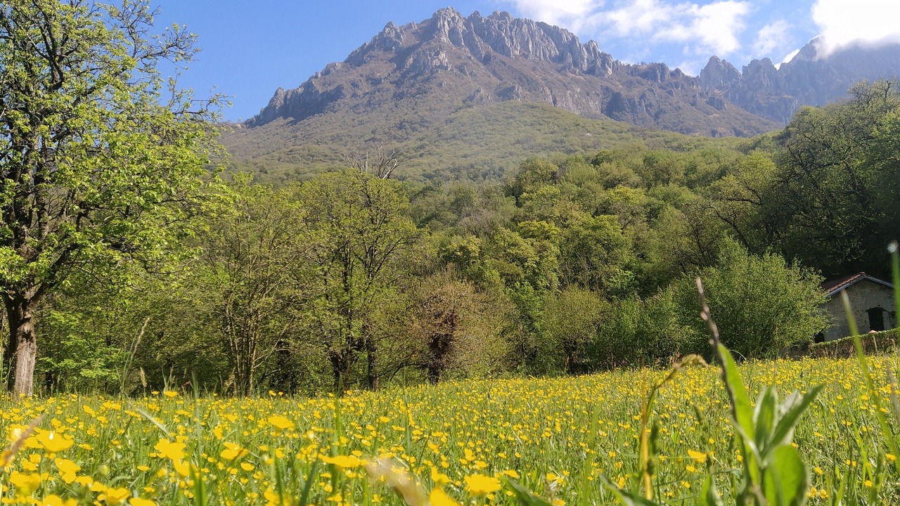 Photo of Others in Crebbio
