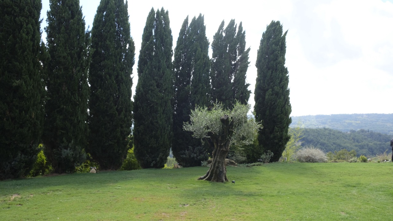 Photo of Outdoor in Penna in Teverina