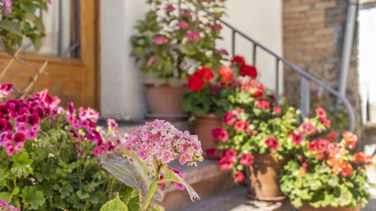 Photo of Outdoor in Sedo