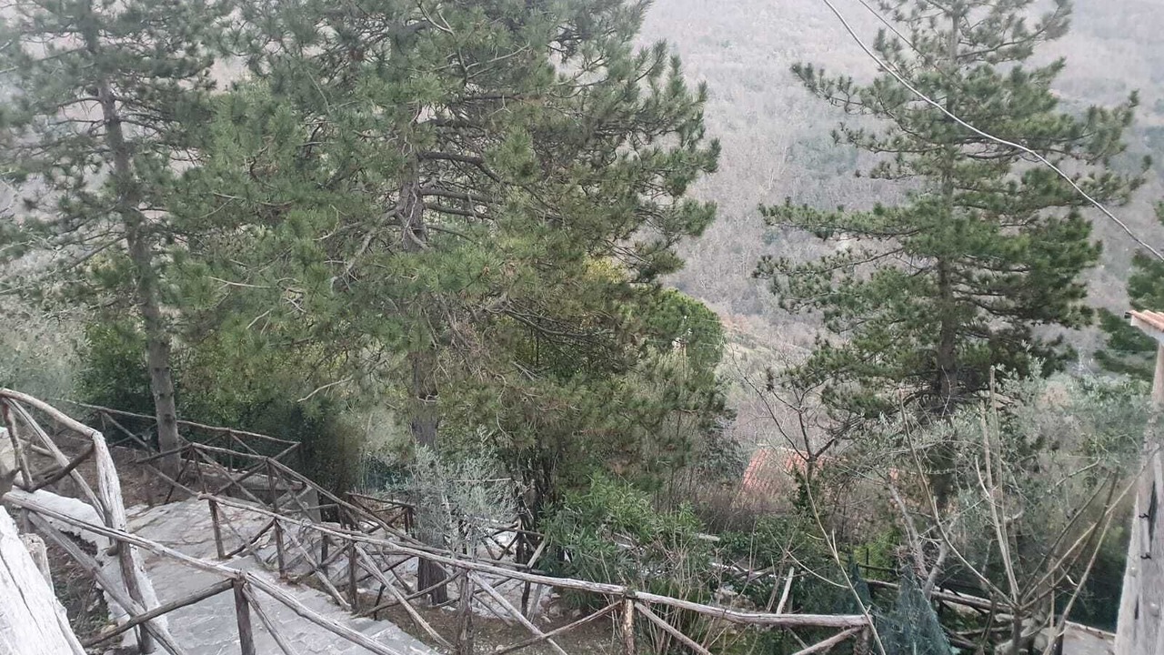 Photo of Outdoor in Licenza