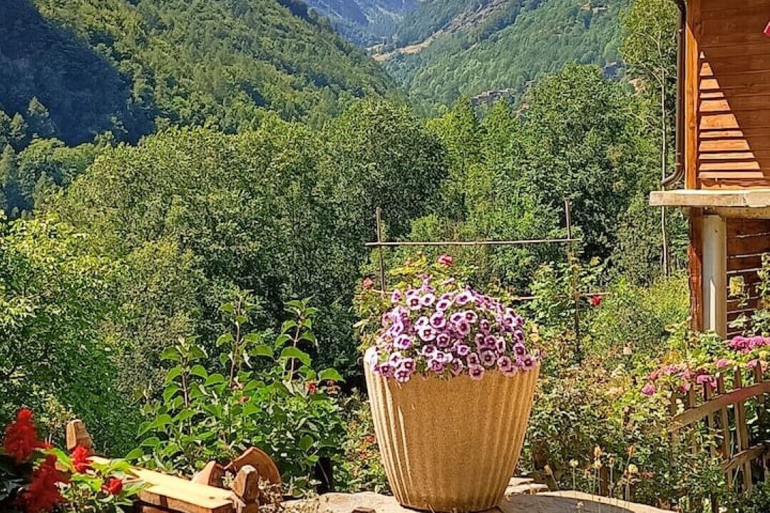 Photo of Outdoor in Massello