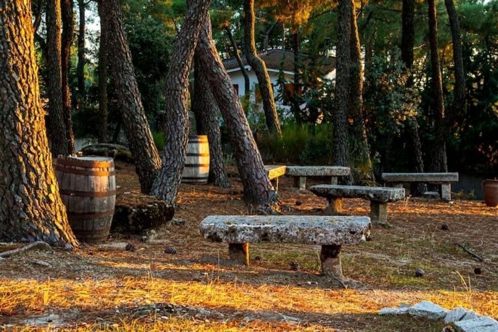 Photo of Outdoor in Cadalso de los Vidrios