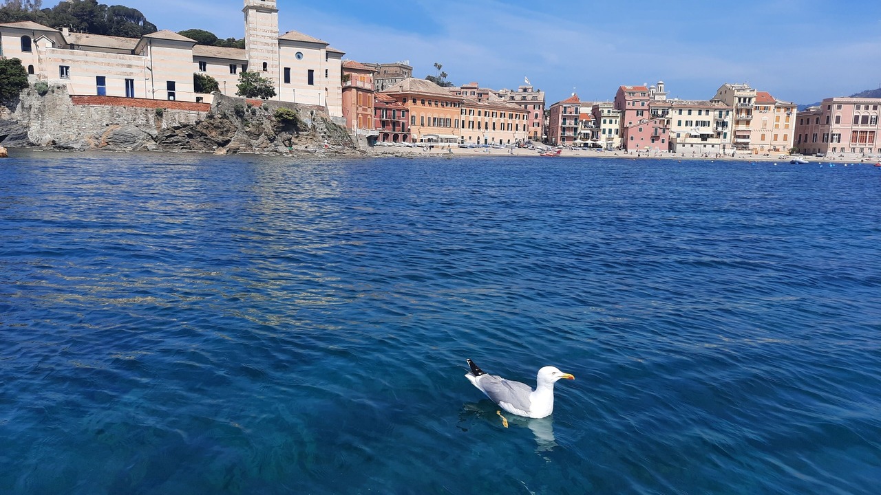 Photo of Outdoor in Sestri Levante