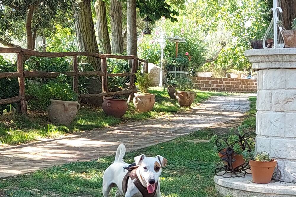 Photo of Outdoor in Sessa Aurunca