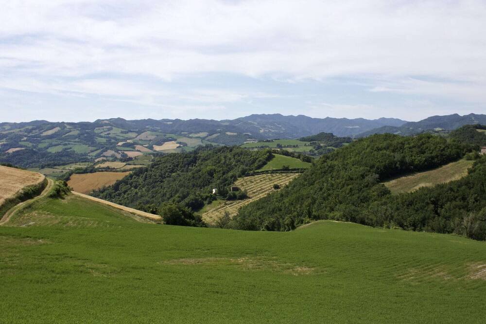 Photo of Others in Casalfiumanese