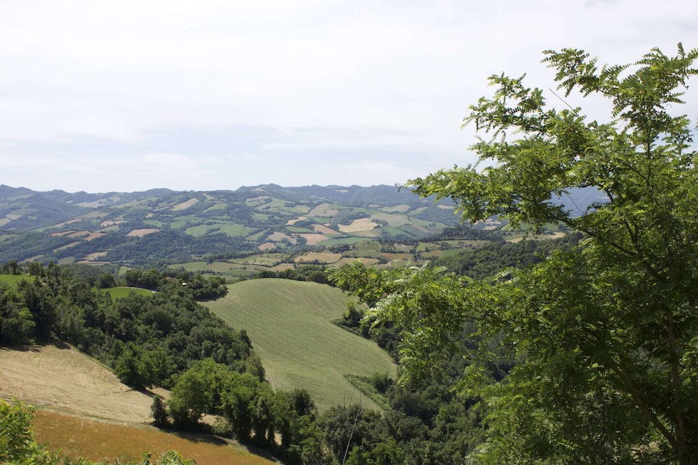 Photo of Others in Casalfiumanese