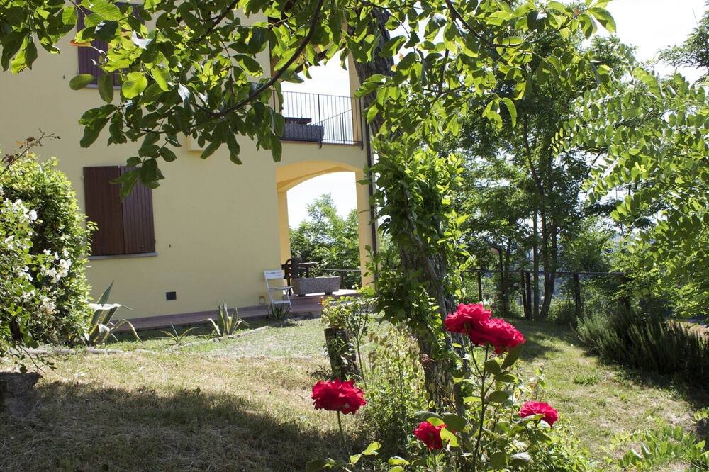 Photo of Outdoor in Casalfiumanese