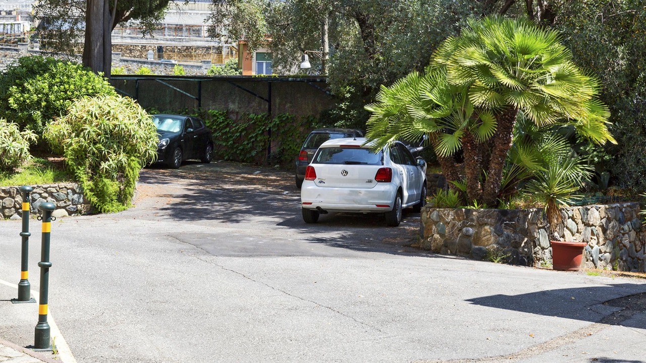 Photo of Others in Nervi