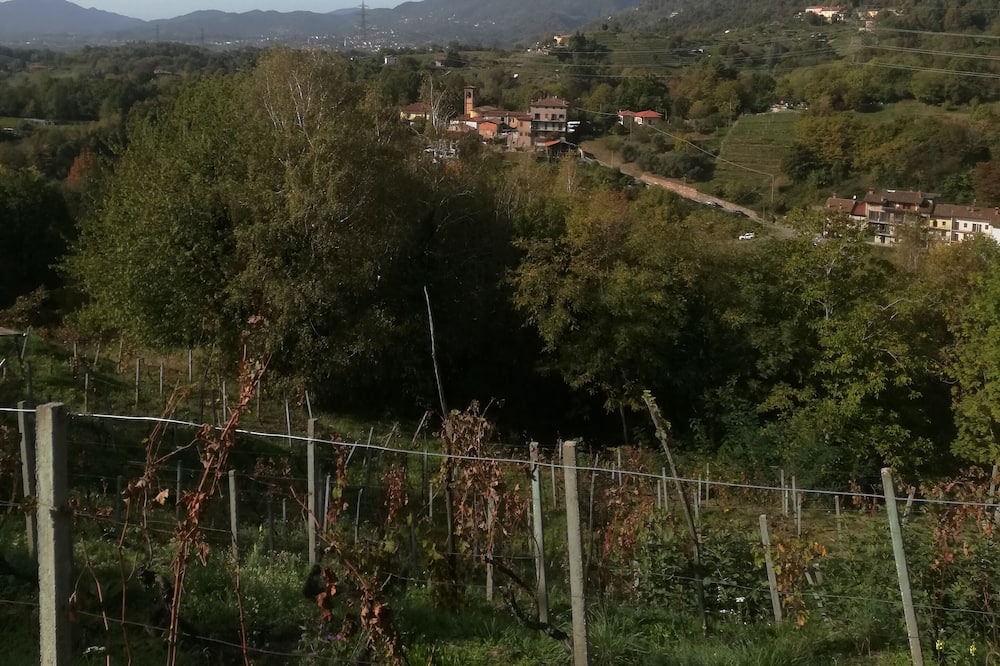 Photo of Others in Sorisole