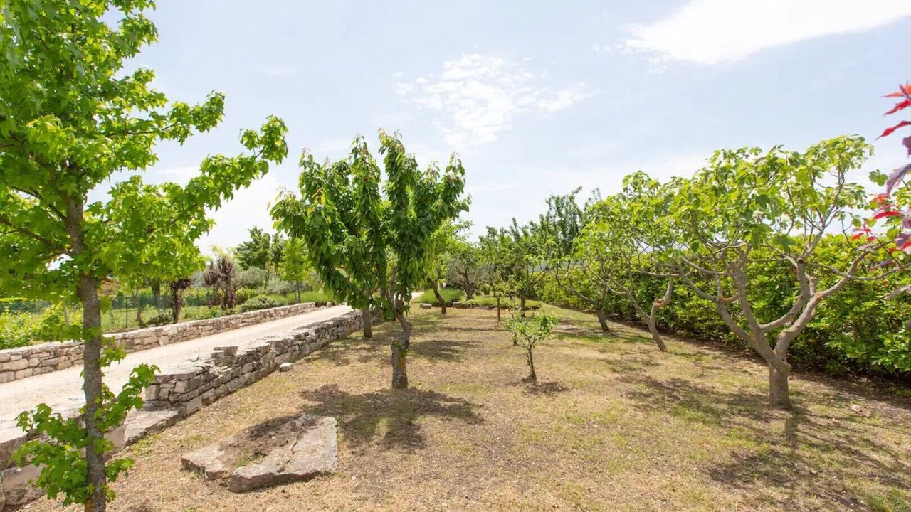 Photo of Outdoor in Oratino