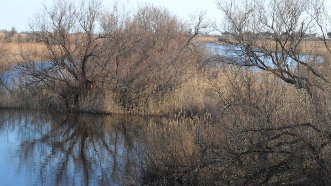 Photo of Outdoor in Jafre