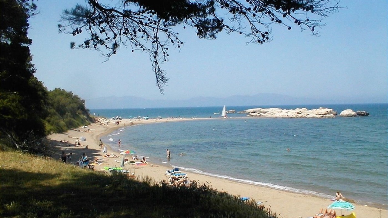 Photo of Others in Jafre
