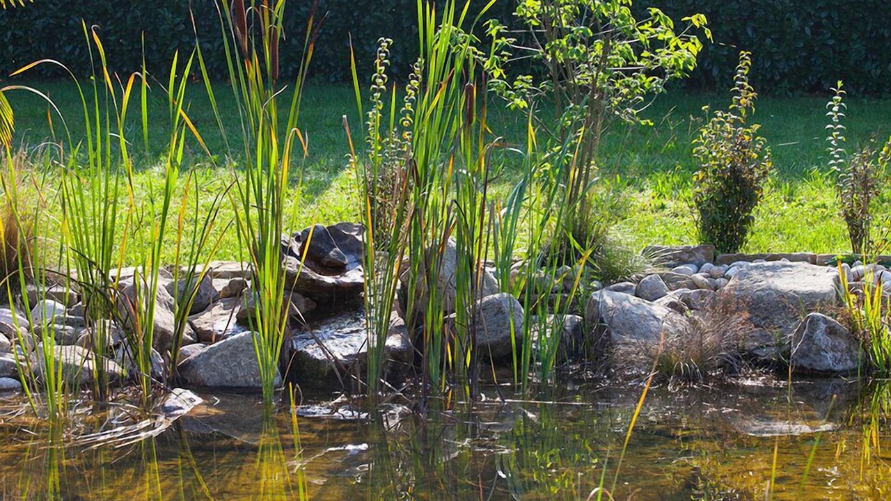 Photo of Outdoor in Cossano Belbo
