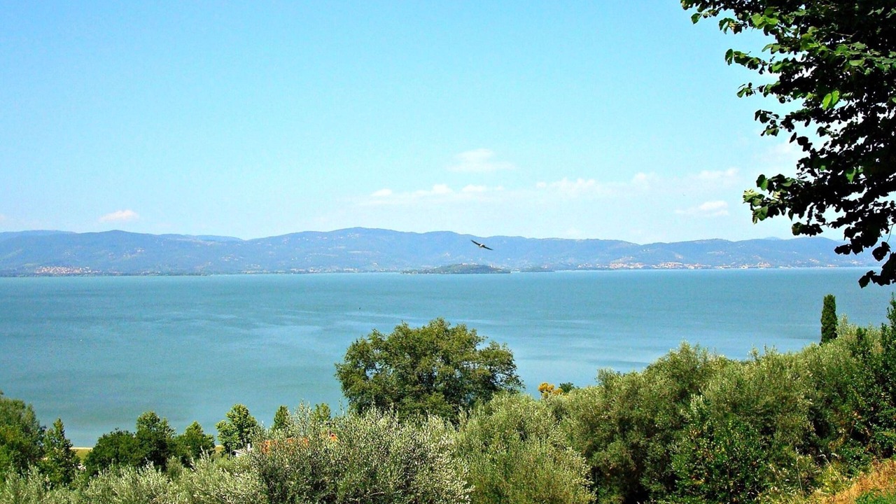 Photo of Others in Ramazzano