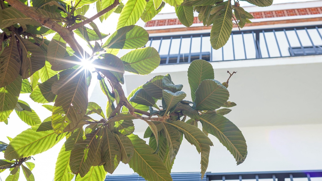 Photo of Outdoor in Tossa de Mar