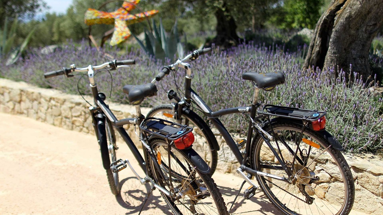Photo of Outdoor in Pau