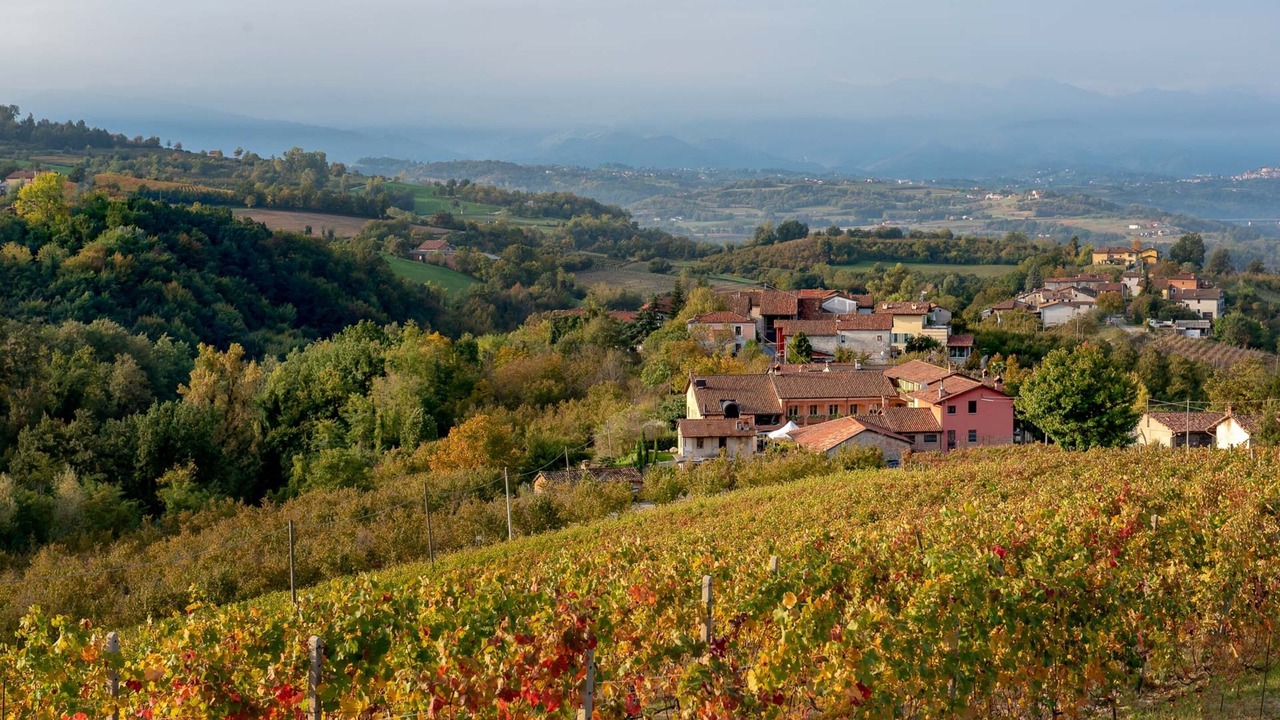 Photo of Others in Clavesana