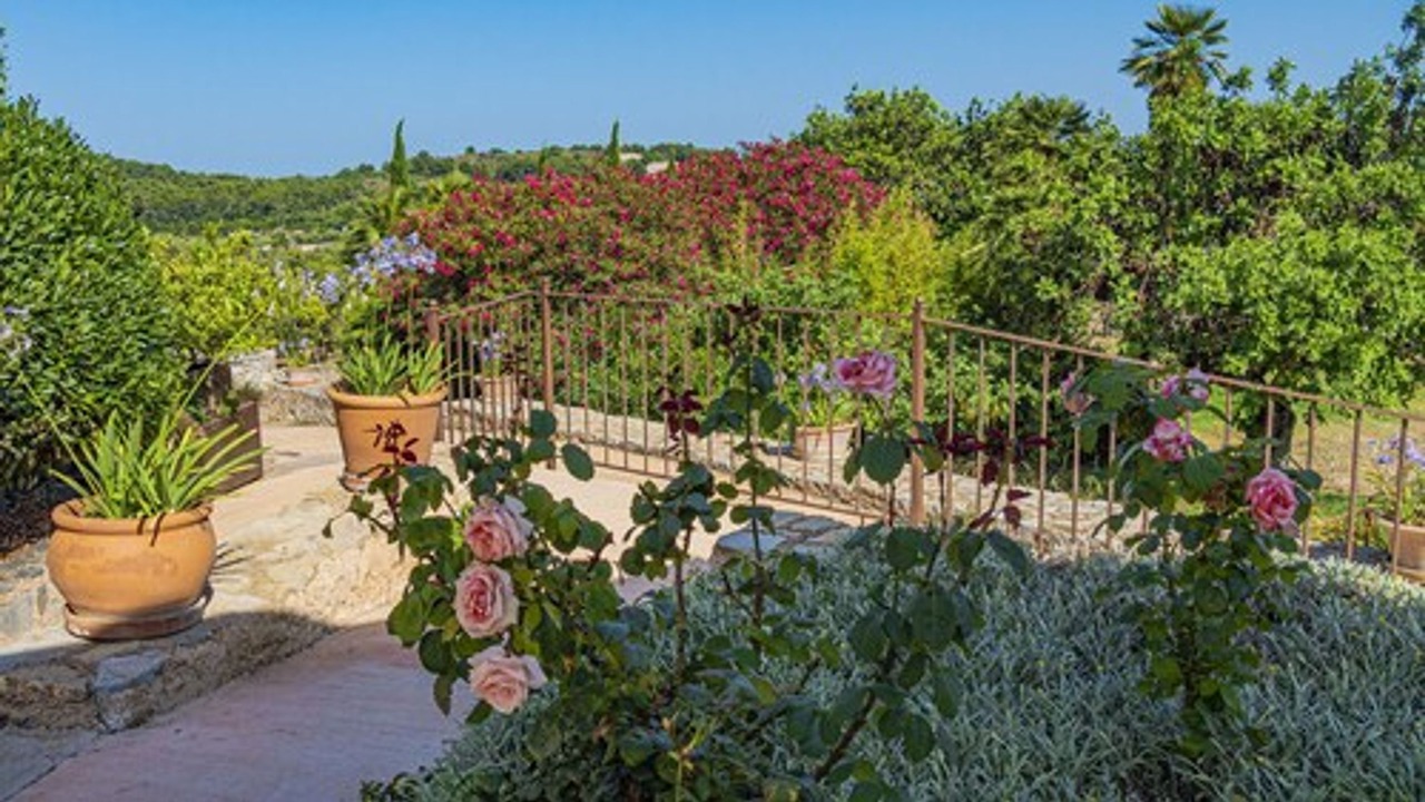Photo of Outdoor in Capdepera