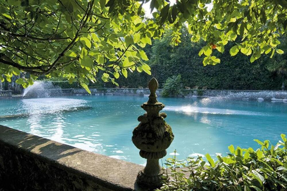 Photo of Outdoor in Erba
