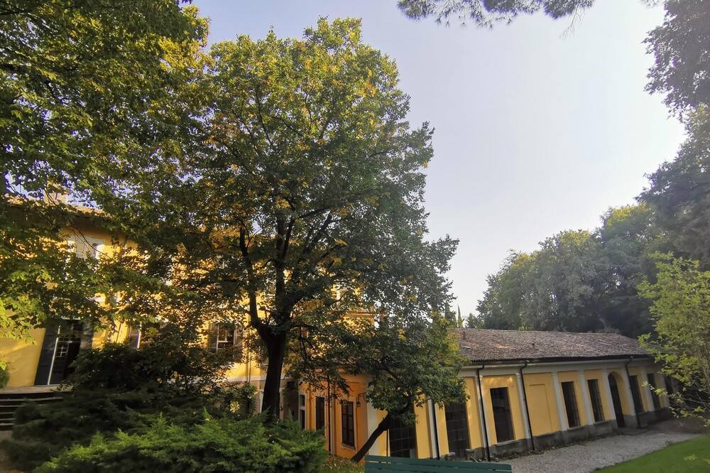 Photo of Outdoor in Erba