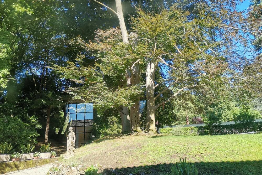 Photo of Outdoor in Erba
