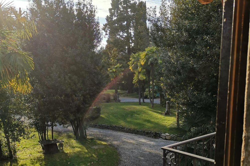Photo of Others in Erba