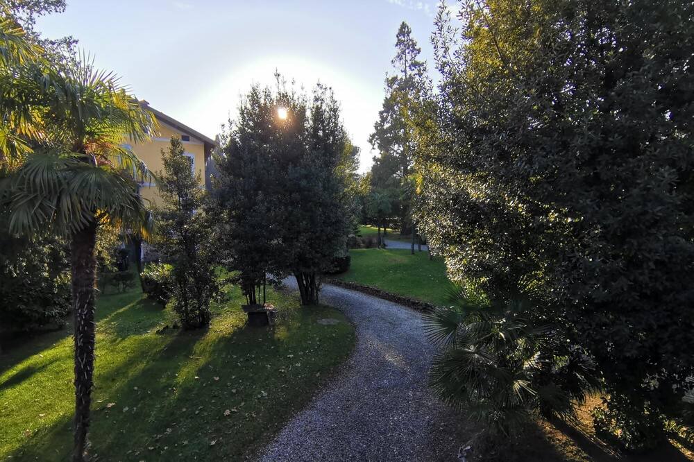 Photo of Outdoor in Erba