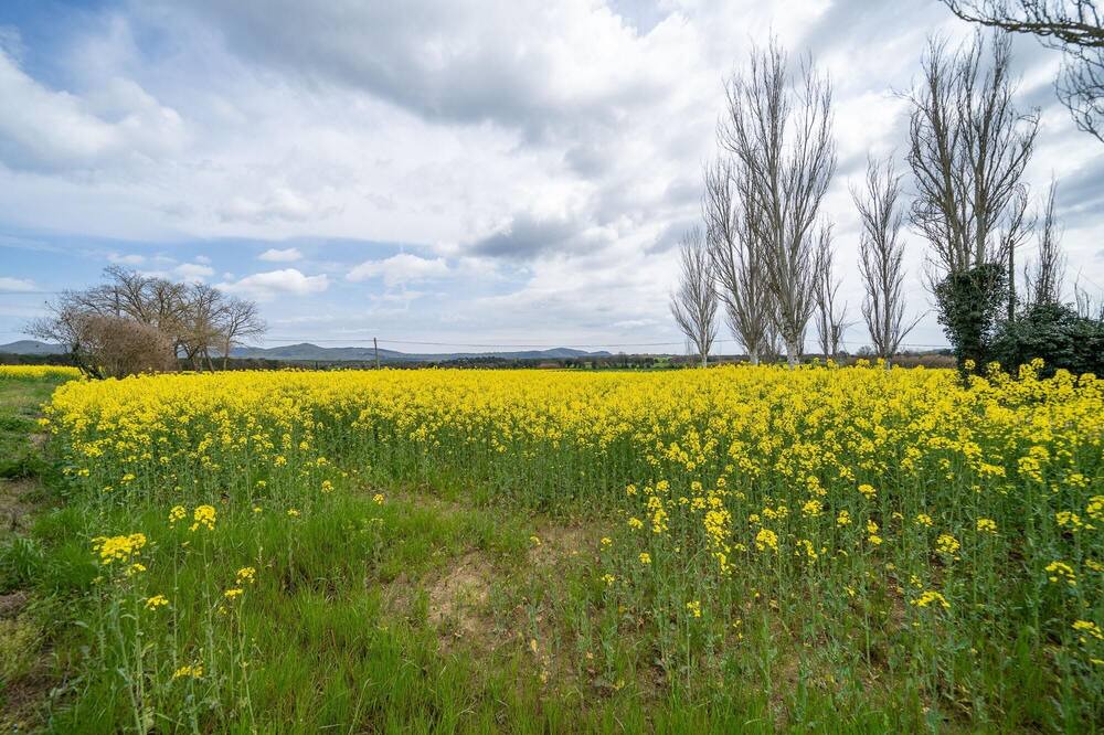 Photo of Outdoor in Llagostera