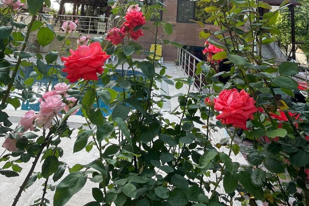 Photo of Outdoor in Samanl