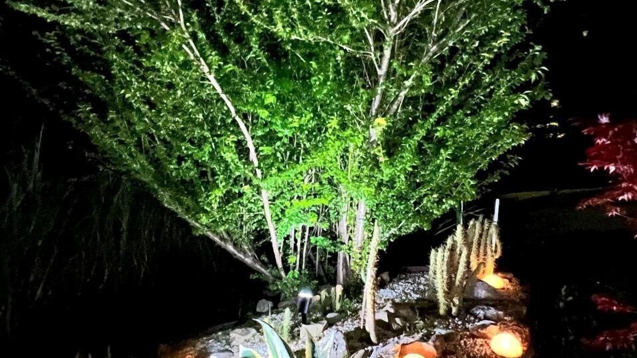 Photo of Outdoor in Monterenzio