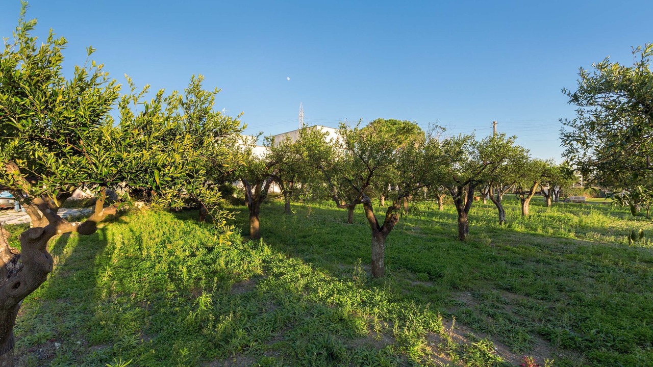 Photo of Outdoor in Monteroni di Lecce