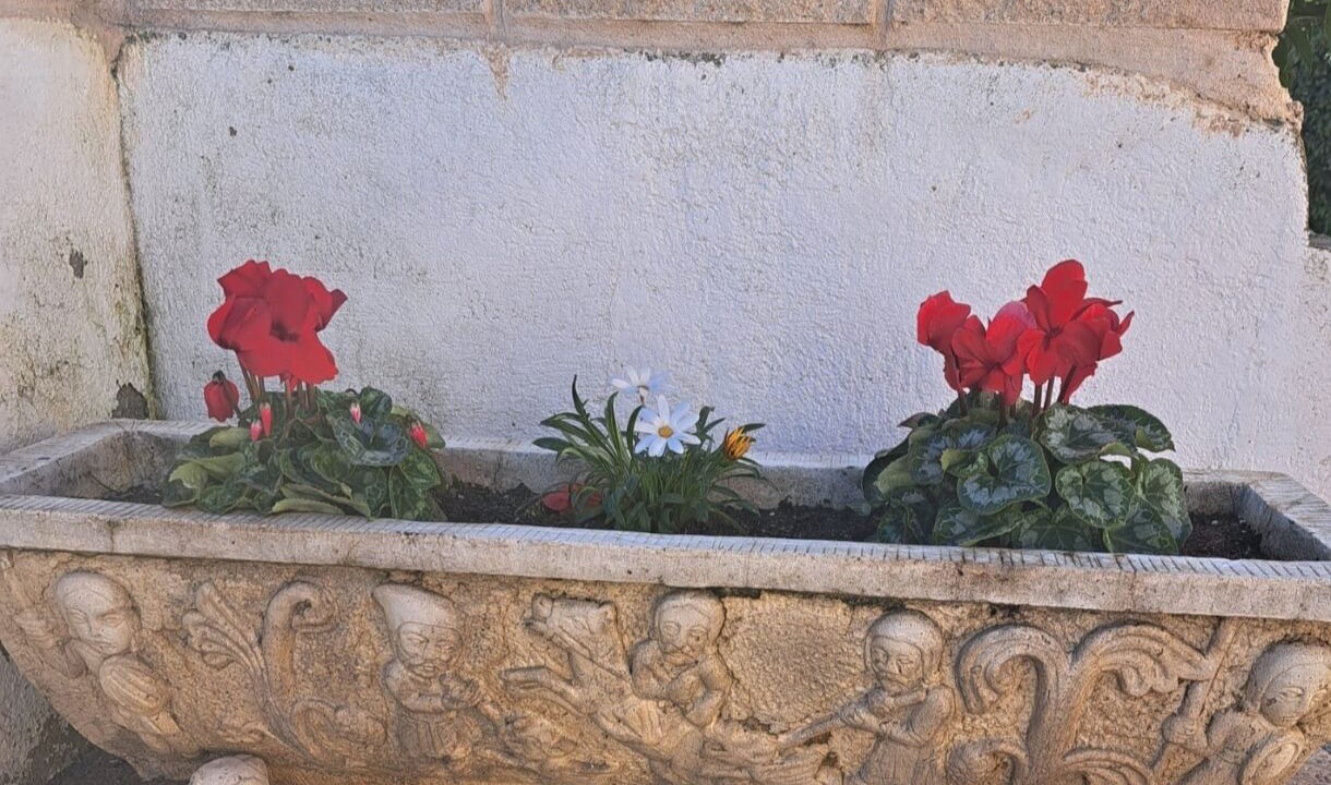 Photo of Outdoor in Santa Cruz del Retamar