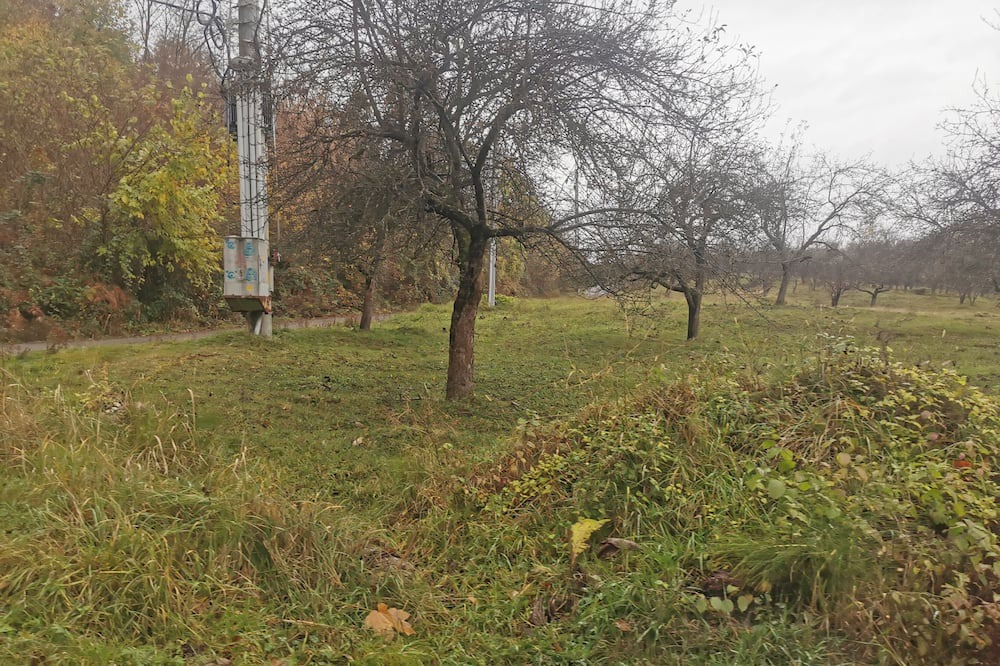 Photo of Others in Forli del Sannio