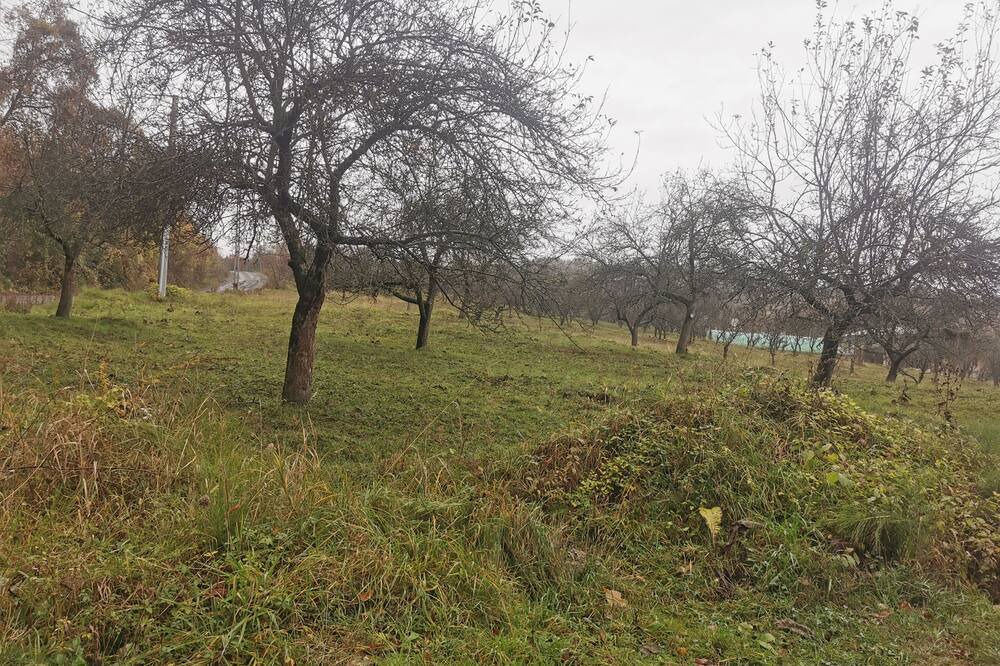 Photo of Others in Forli del Sannio