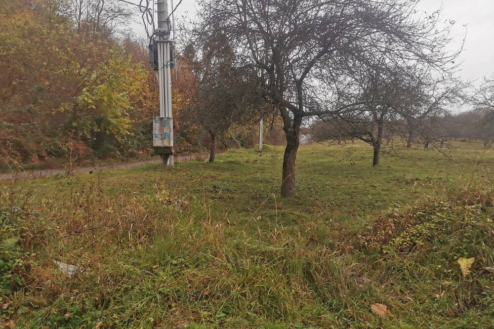 Photo of Others in Forli del Sannio