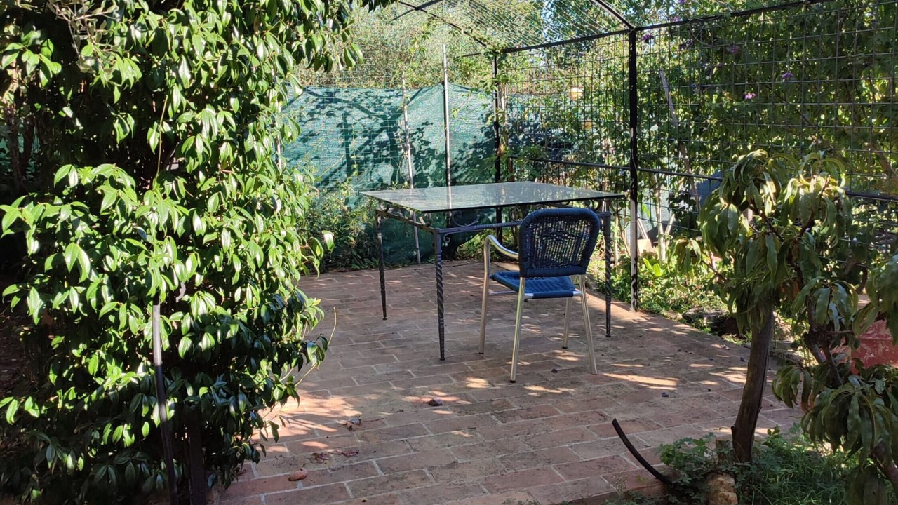 Photo of Outdoor in Lama