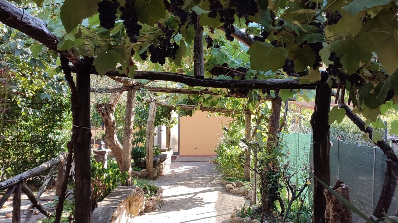 Photo of Outdoor in Lama