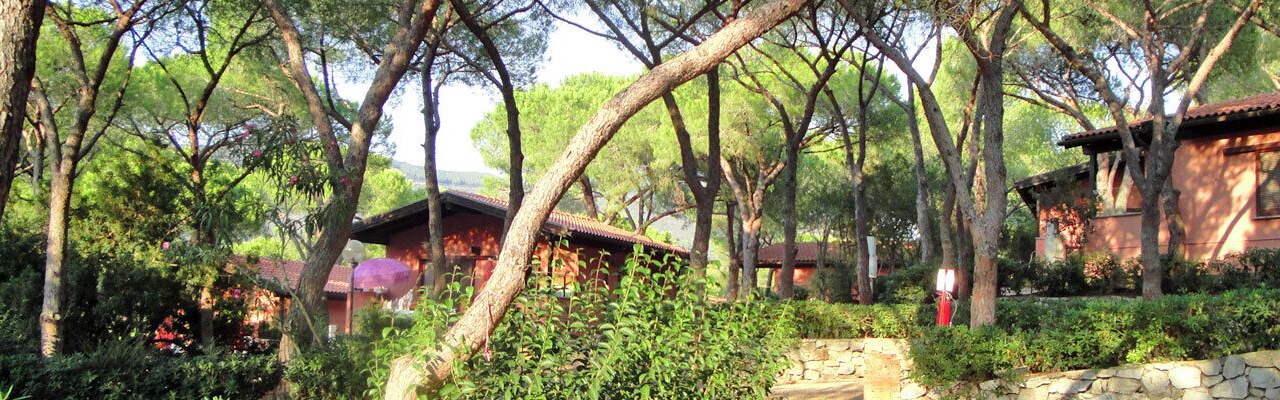 Photo of Outdoor in Lacona