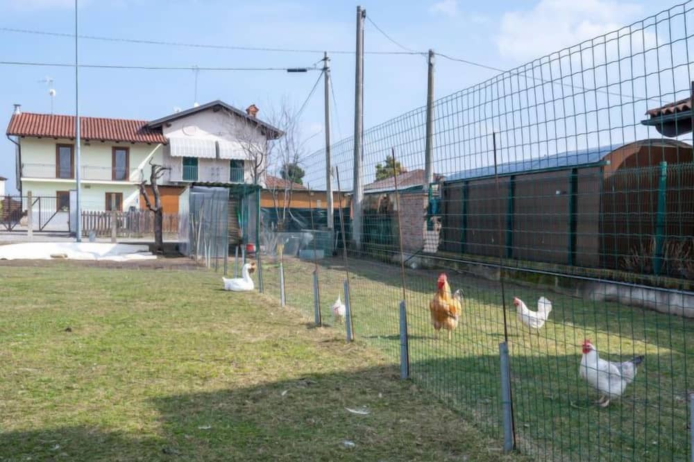 Photo of Others in Trinita