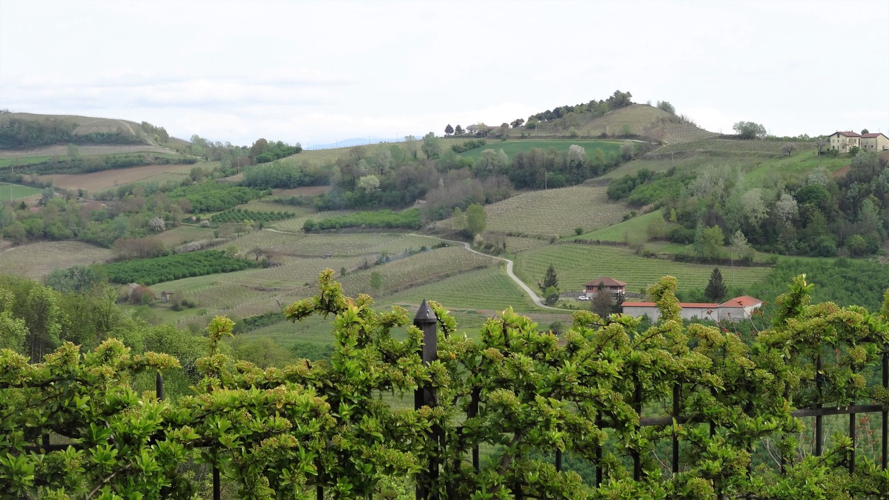 Photo of Outdoor in Castel Boglione