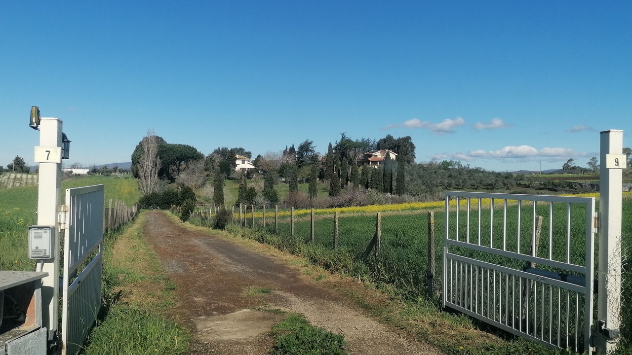 Photo of Outdoor in Ceri