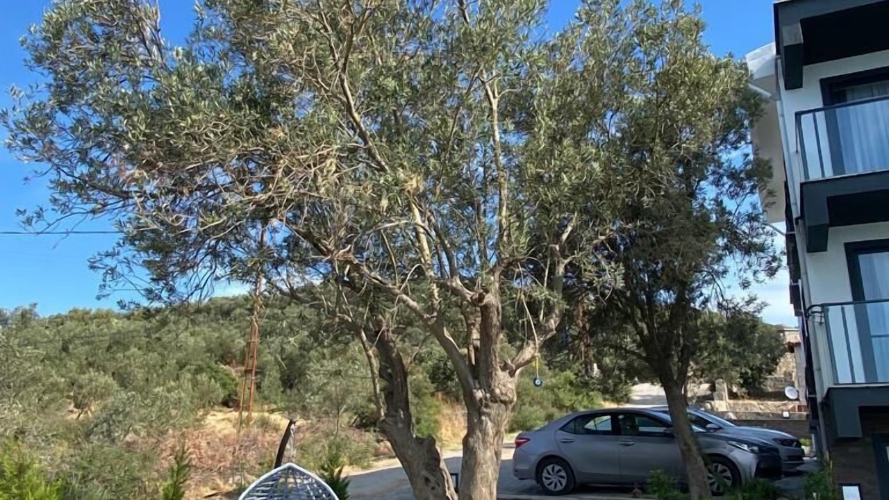 Photo of Others in Ayvacik