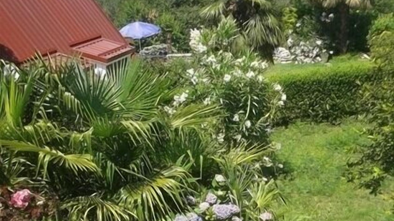 Photo of Outdoor in Villaggio Olandese