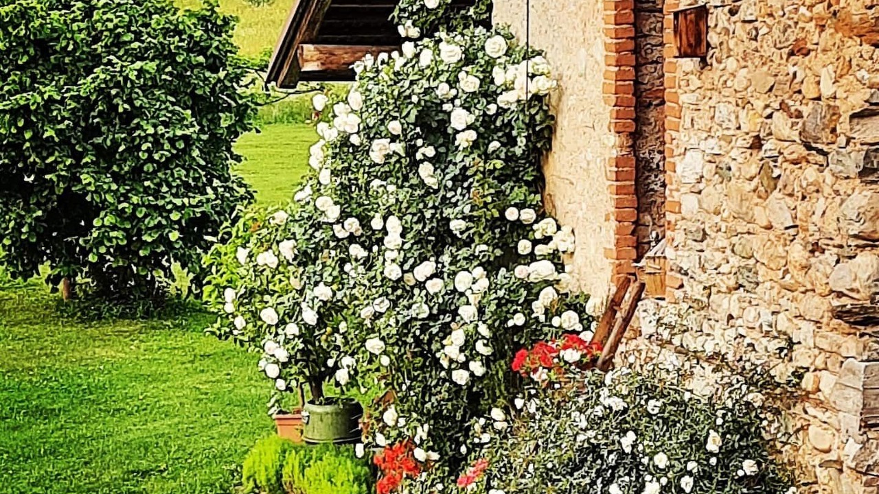 Photo of Outdoor in Dronero