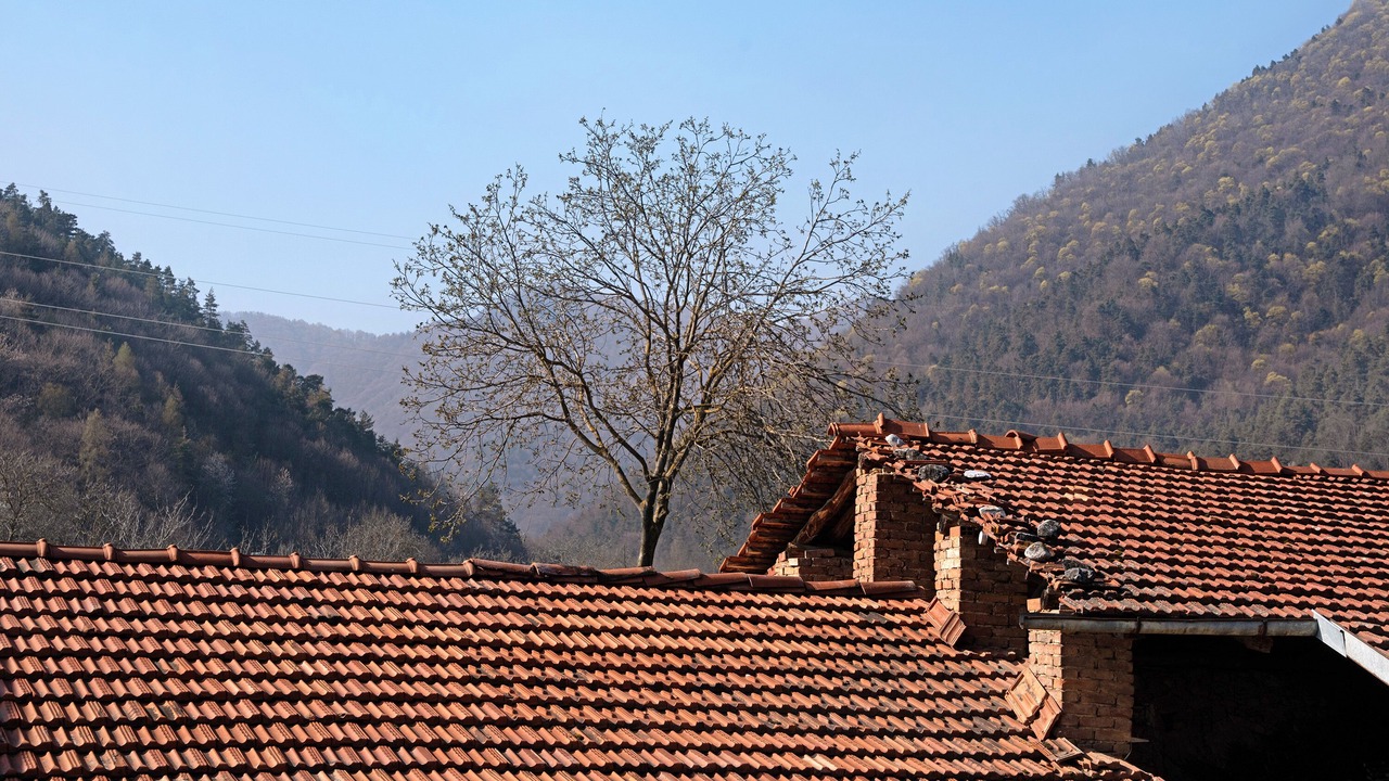 Photo of Outdoor in Dronero