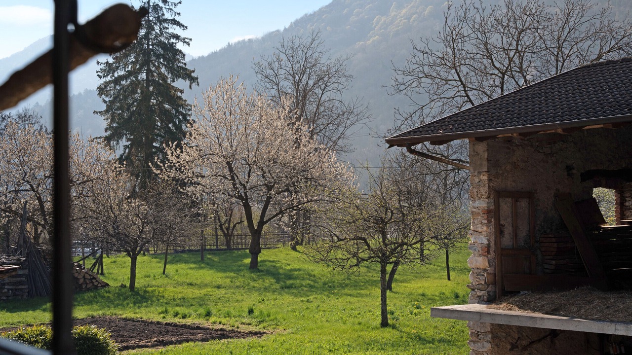 Photo of Outdoor in Dronero
