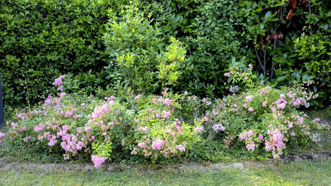 Photo of Outdoor in Montebello di Mezzo